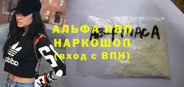 хмурый Дмитриев