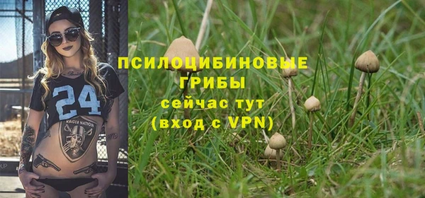 хмурый Дмитриев