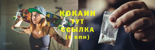хмурый Дмитриев