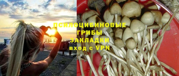 хмурый Дмитриев