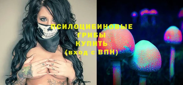 каннабис Дмитров
