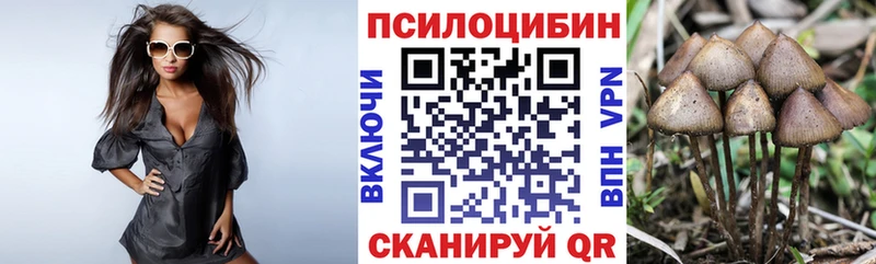 Псилоцибиновые грибы Cubensis Ижевск